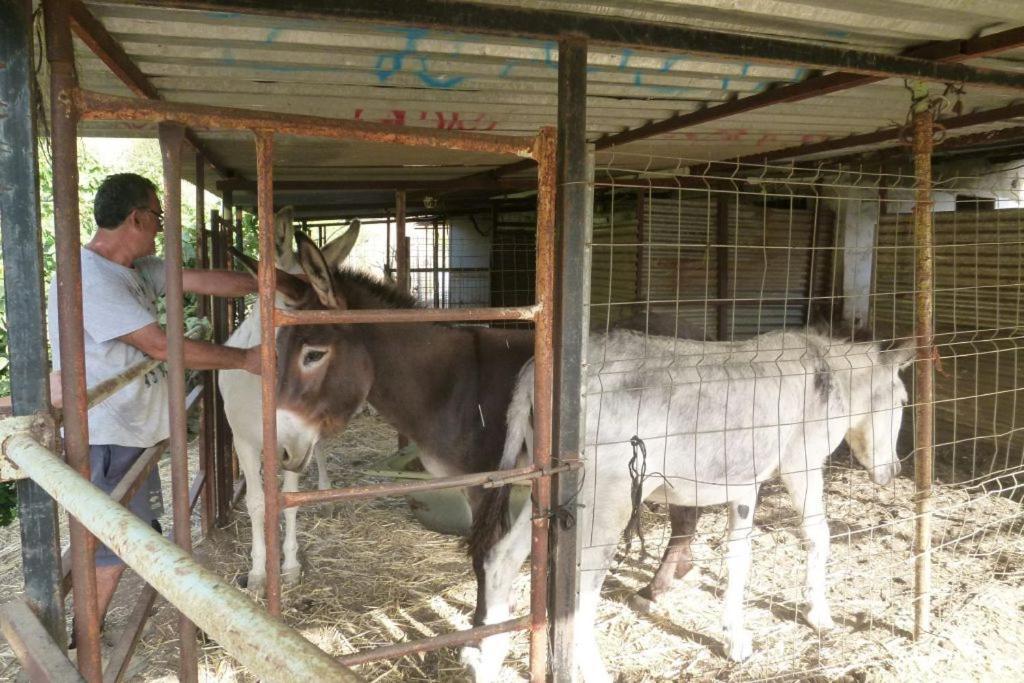 Finca Los Burros Totalan Bagian luar foto