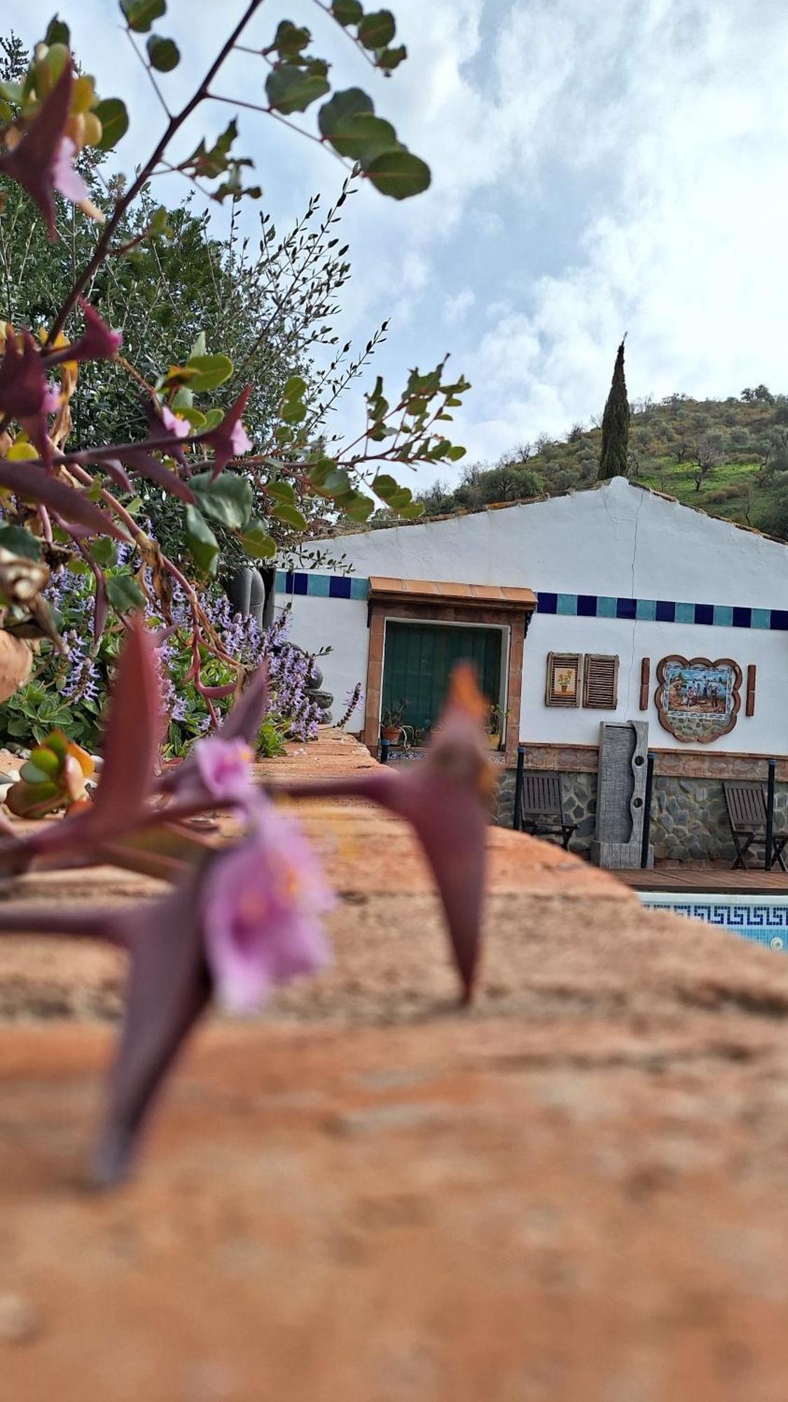 Finca Los Burros Totalan Bagian luar foto